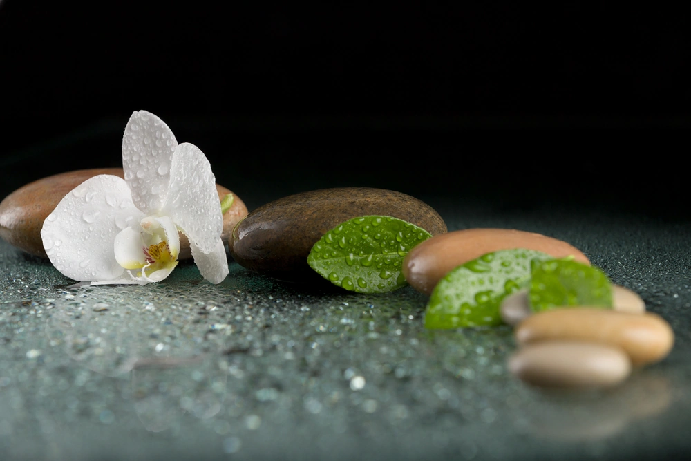 shutterstock_404214217